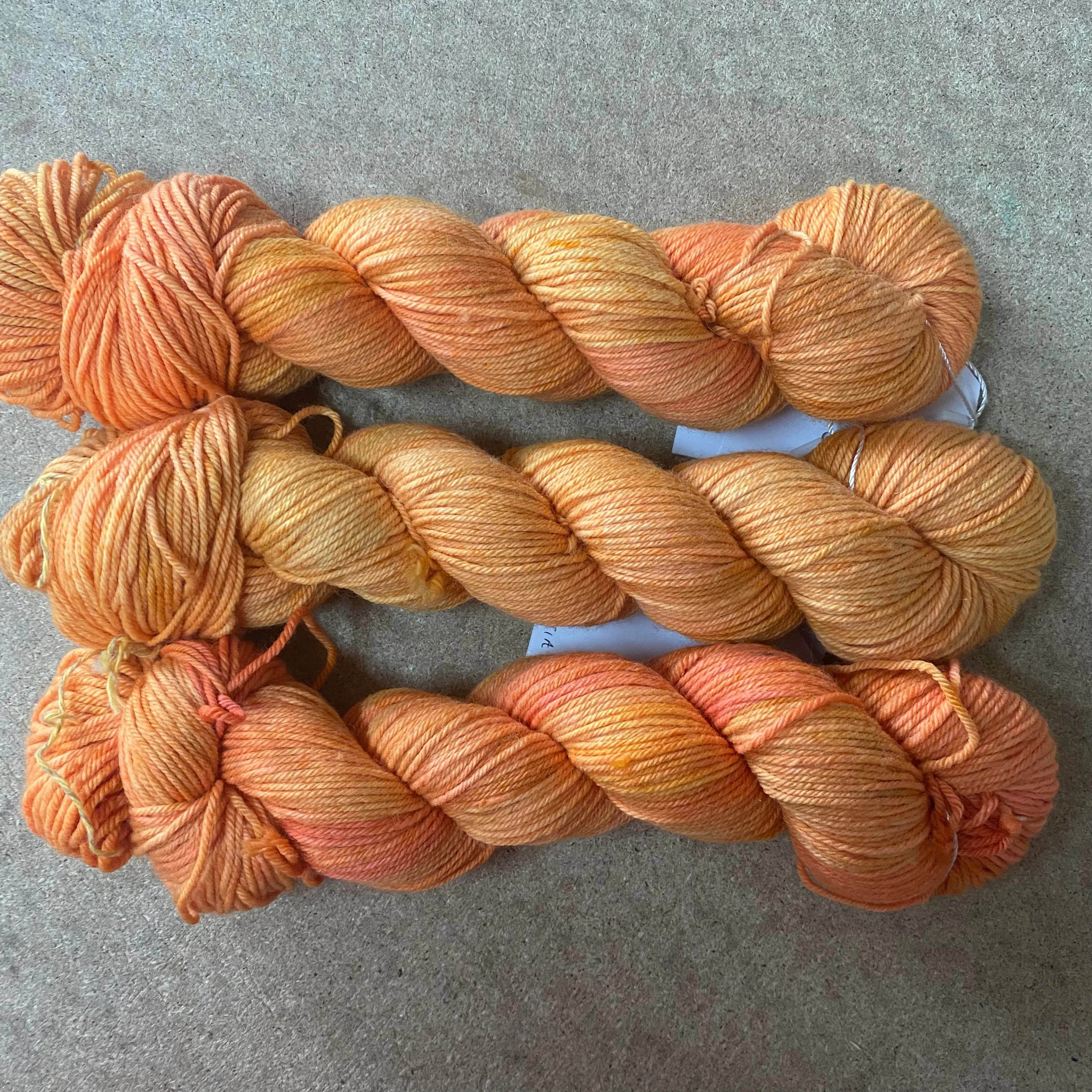 REBUTIA - Hand dyed DK yarn 100g/225M superwash merino